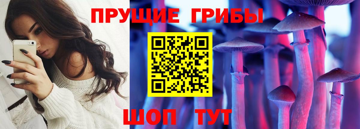 Псилоцибиновые грибы ЛСД  Псилоцибиновые грибы прущие грибы  Вход с VPN  Красноуфимск 